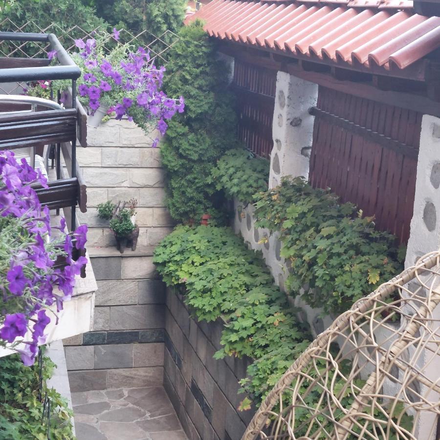 Guest House Planinski Zdravets Bansko Exterior foto