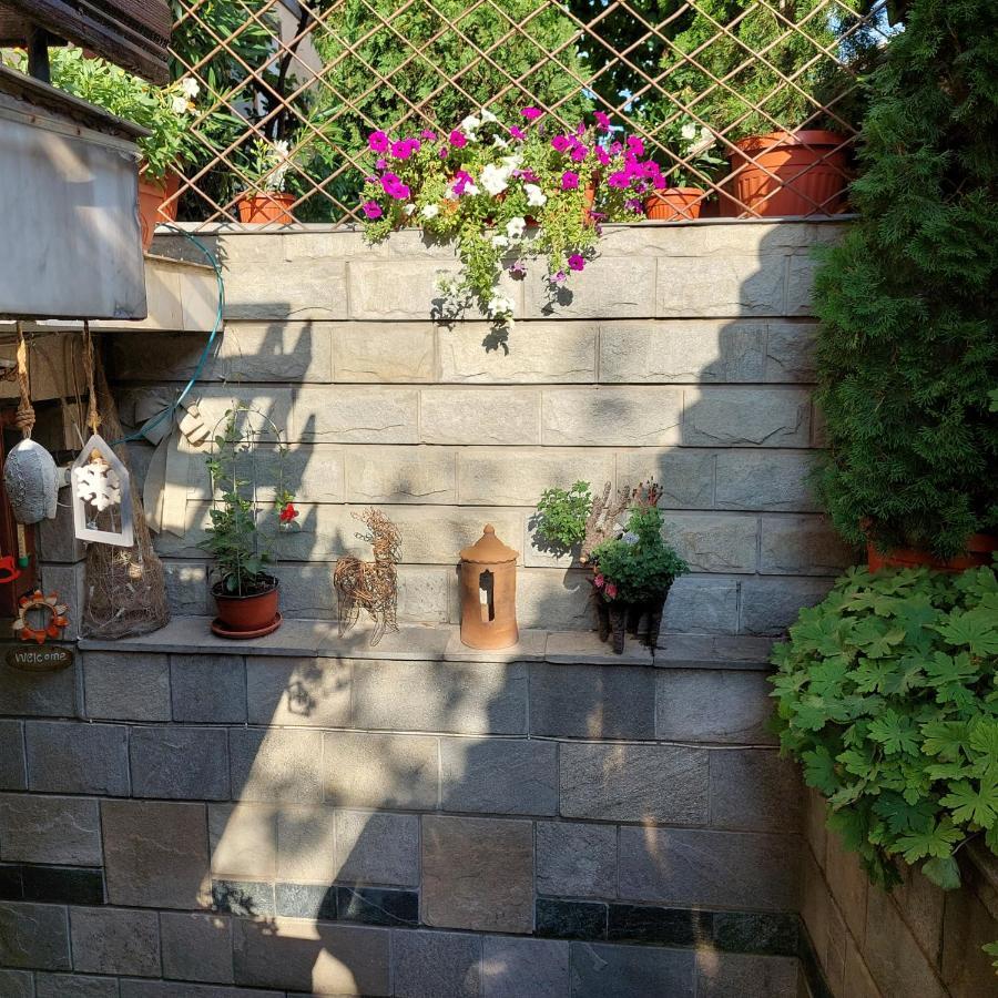 Guest House Planinski Zdravets Bansko Exterior foto