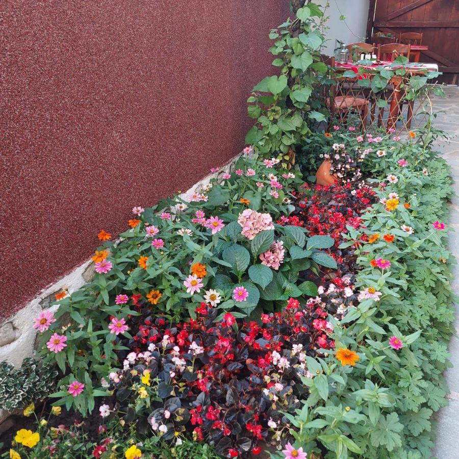 Guest House Planinski Zdravets Bansko Exterior foto
