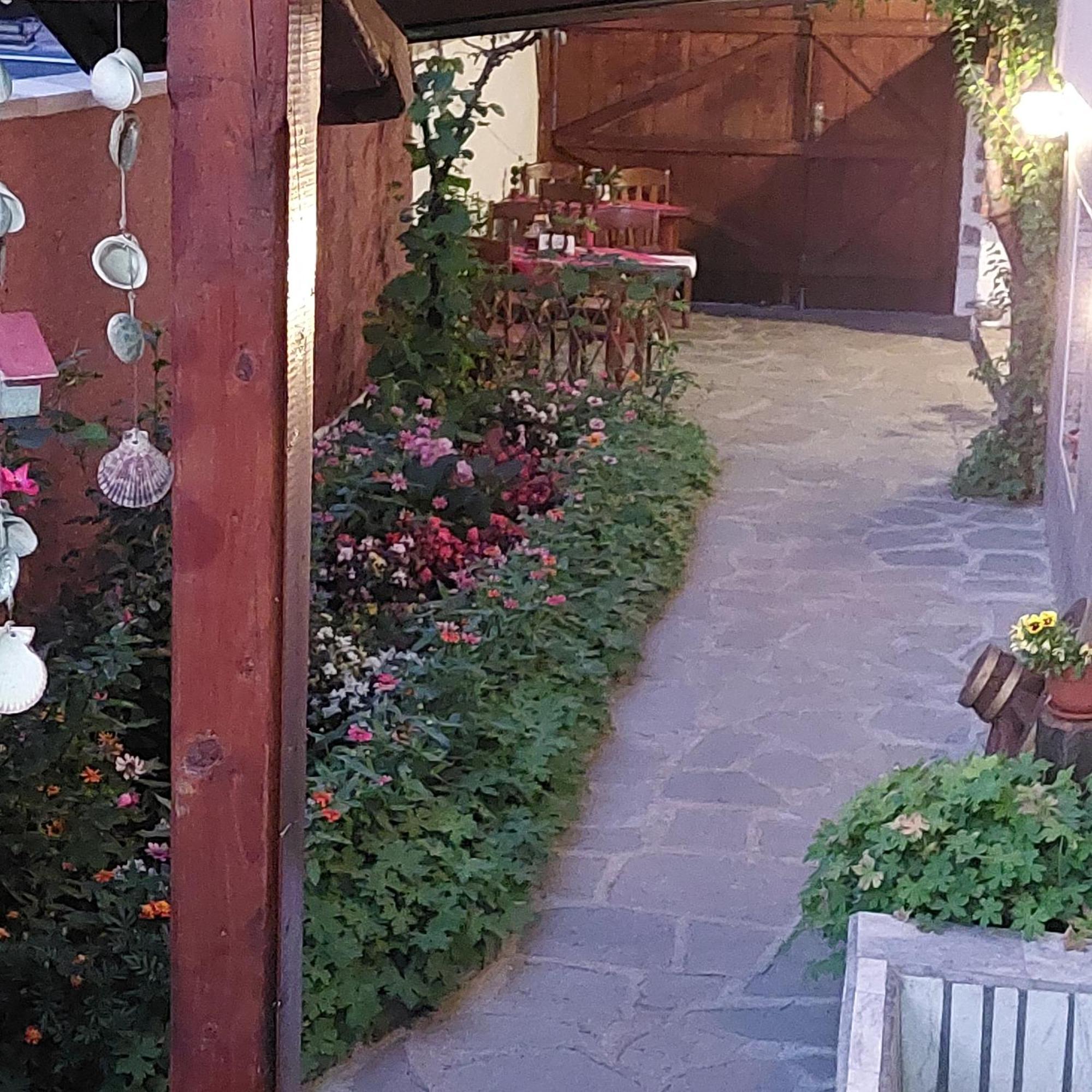 Guest House Planinski Zdravets Bansko Exterior foto