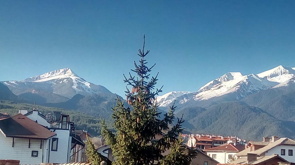 Guest House Planinski Zdravets Bansko Exterior foto